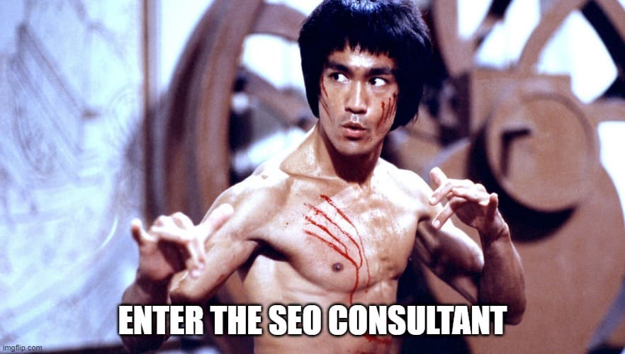 Bruce Lee posing behind a caption that says "enter the seo consultant"